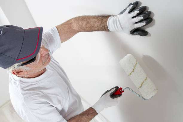 Dehumidification Services in Homewood, AL
