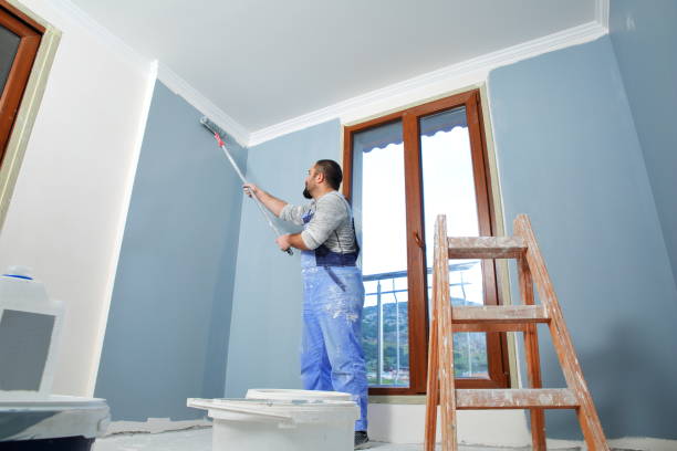 Trusted Homewood, AL Mold Removal Experts