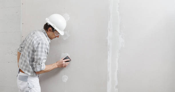 Best Environmental Consulting for Mold Prevention  in Homewood, AL