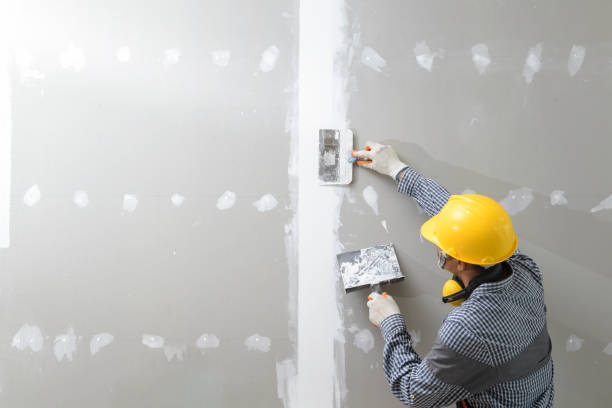 Best Emergency Mold Remediation  in Homewood, AL