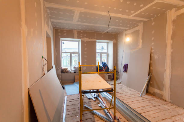 Best Mold Documentation for Insurance Claims  in Homewood, AL